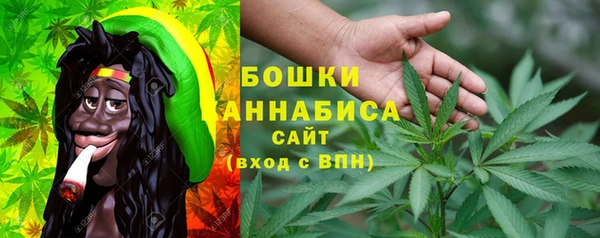 молекула духа Щучье