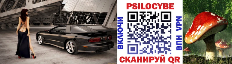 Псилоцибиновые грибы прущие грибы  Суздаль 